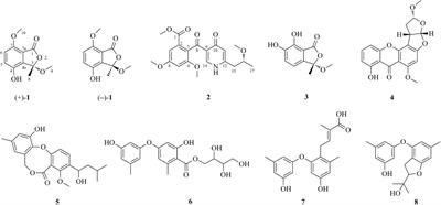 Frontiers Cytotoxic Secondary Metabolites Isolated From Penicillium